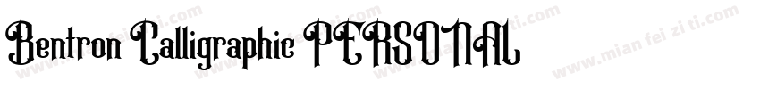 Bentron Calligraphic PERSONAL Regul字体转换